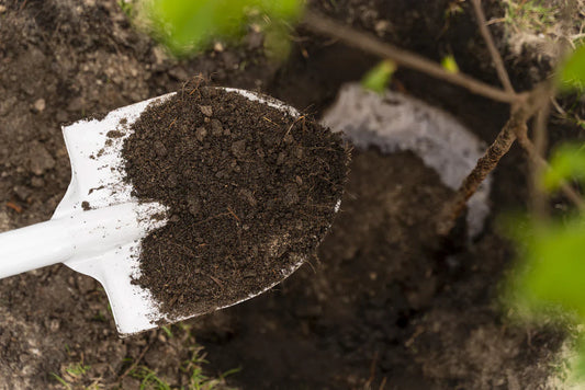 Come aggiungere sostanze nutritive al terreno - Reencle Italia