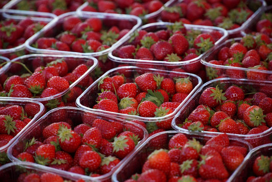 Posso compostare le Fragole? - Reencle Italia