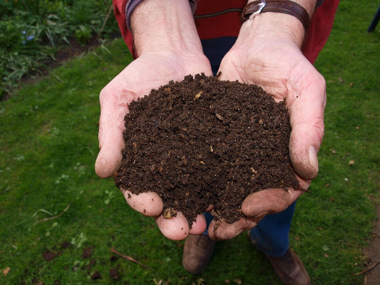 Compost sì, ma dove lo metto? Idee creative per spazi piccoli