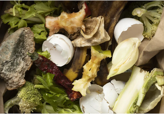 Gestire le sfide del compostaggio indoor - Reencle Italia