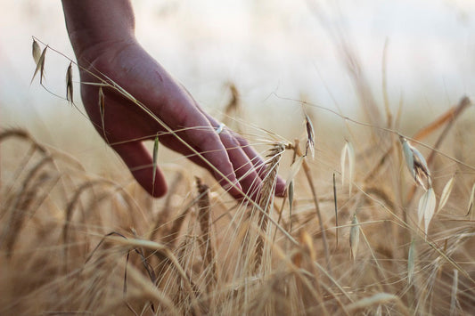 I Benefici di Reencle: Risparmia, Riduci i Rifiuti e Aiuta l’Ambiente - Reencle Italia