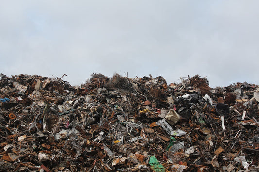 La Sfida Globale dello Spreco Alimentare: Un Approccio Semplificato per Comprendere e Trovare Soluzioni - Reencle Italia