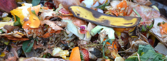 Meglio il Compost o la Raccolta Differenziata? Scopri la Soluzione Più Sostenibile - Reencle Italia