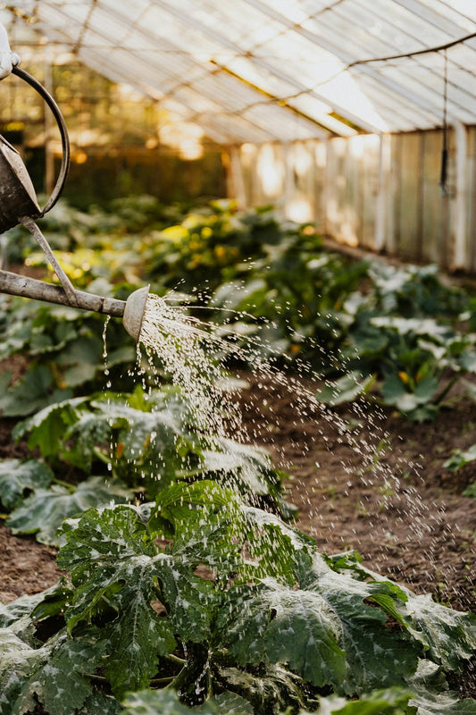 Modi semplici per controllare i nutrienti del suolo per un giardino sano - Reencle Italia