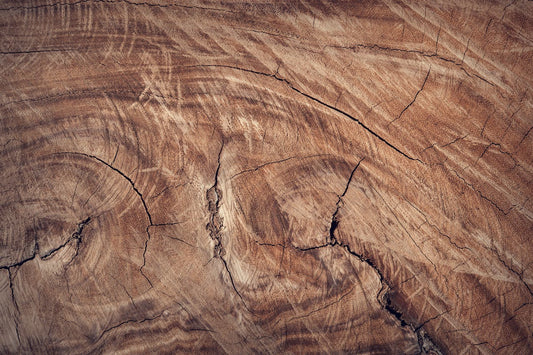 Vantaggi dell'uso delle scaglie di legno - Reencle Italia