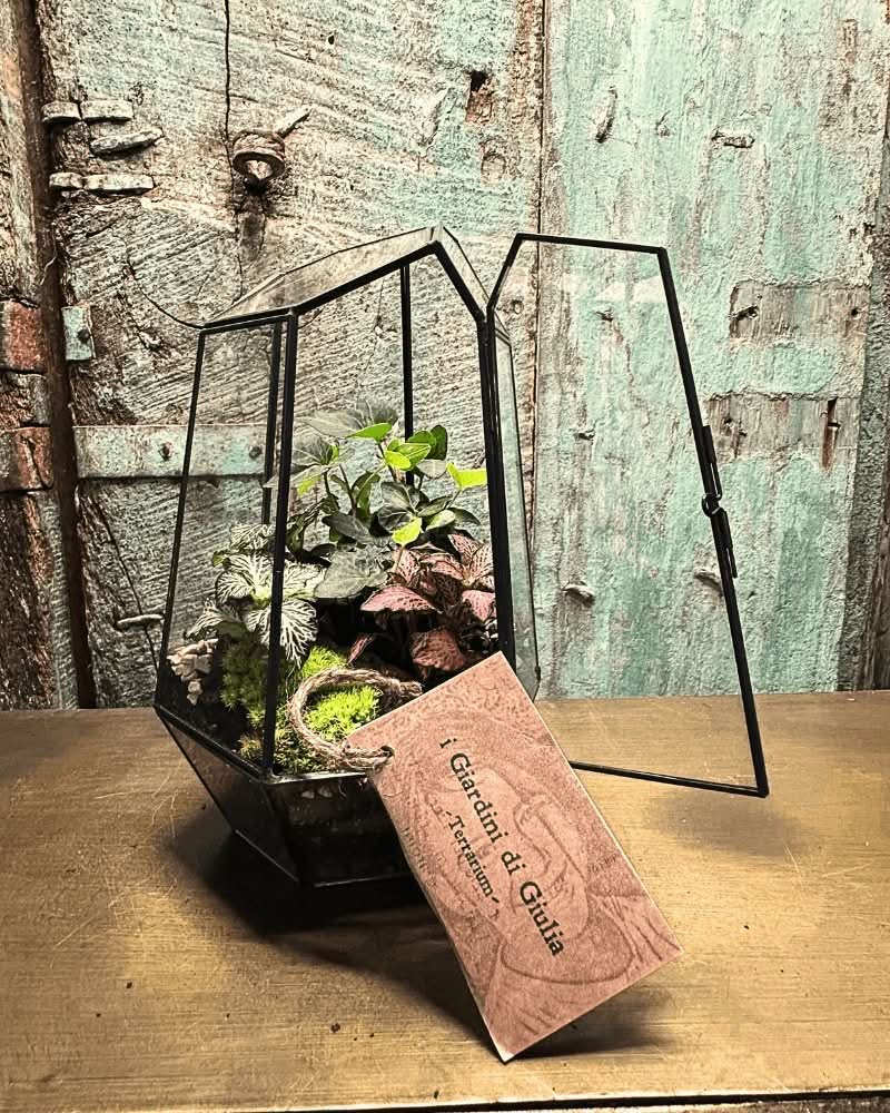 Kit Fai Da Te Terrarium Completo Geometrico Florine