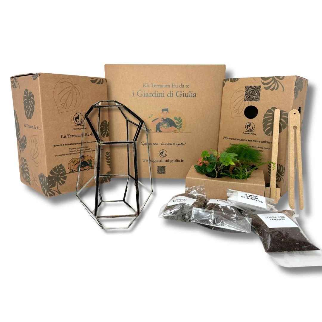Kit Fai Da Te Terrarium Completo Geometrico Florine