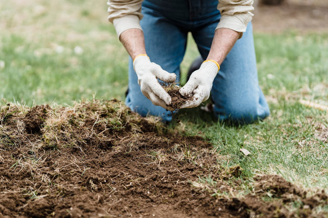 Classificazione dei fertilizzanti (in base alle materie prime)