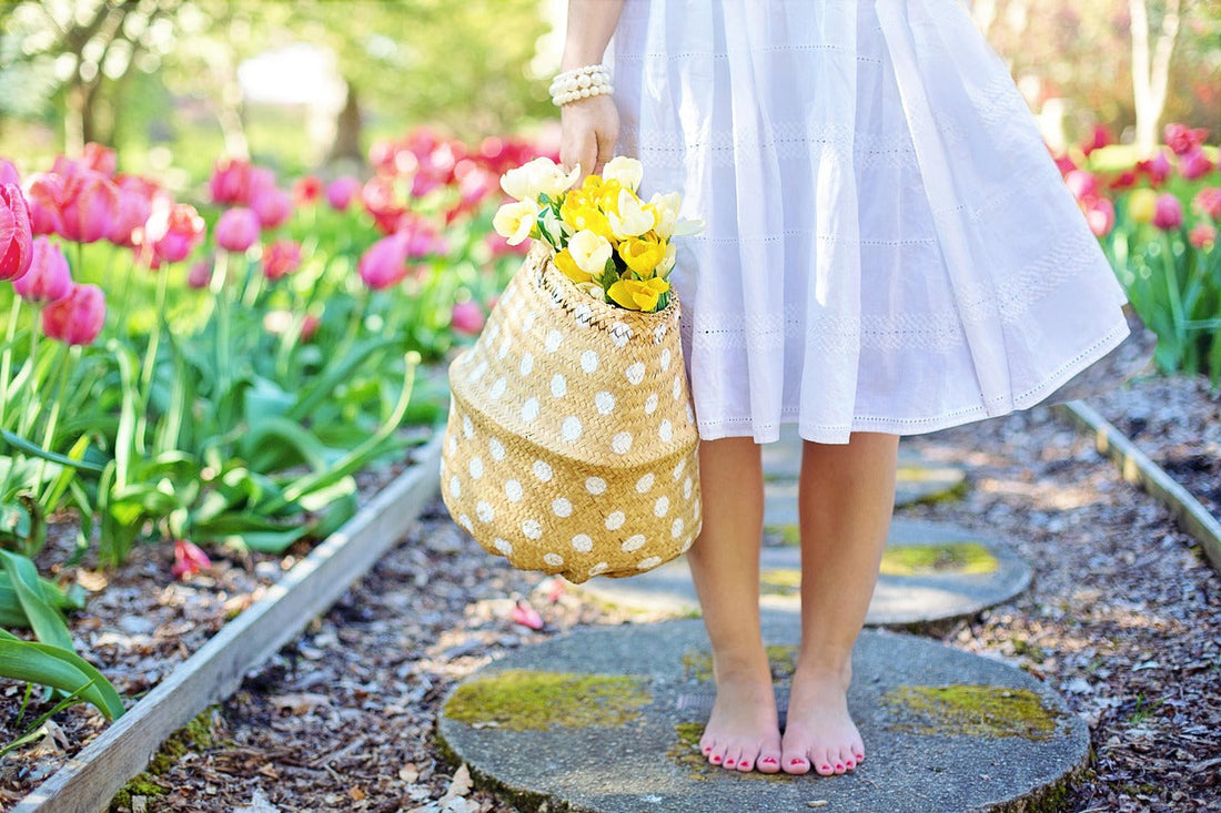 Cosa Piantare in Primavera? Guida Completa per un Giardino Rigoglioso 🌱🌸