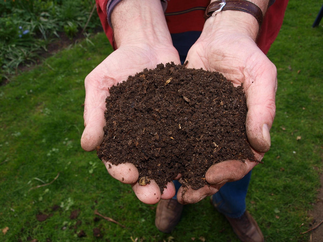 Compost sì, ma dove lo metto? Idee creative per spazi piccoli