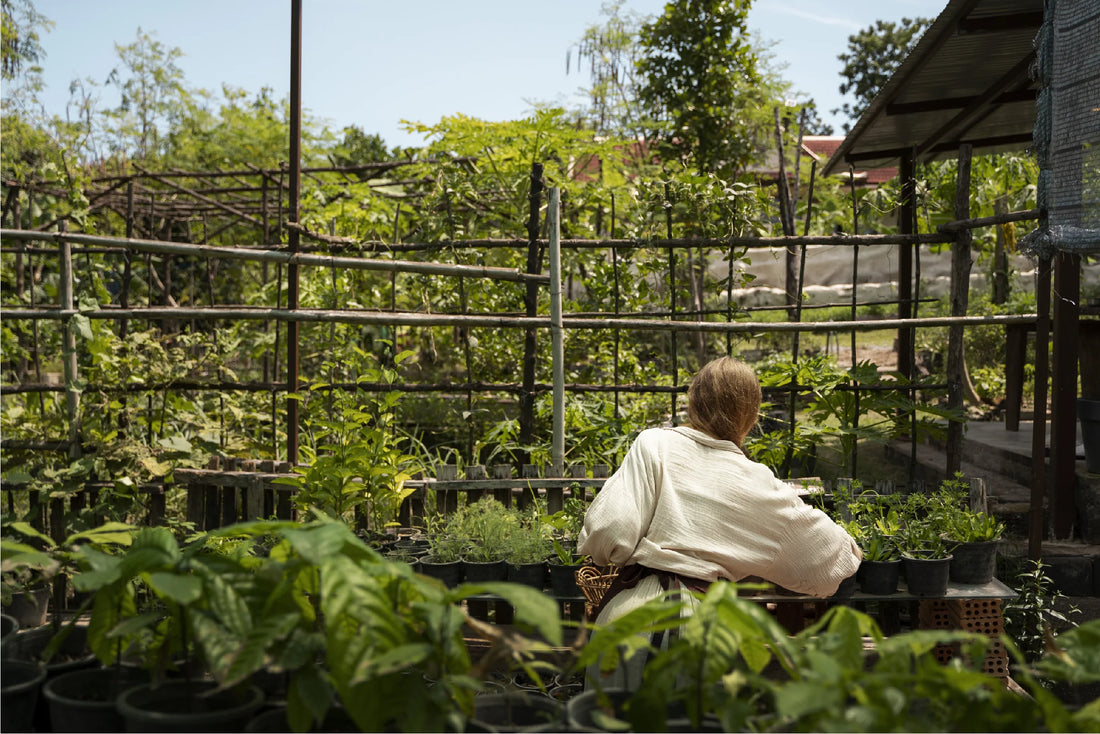 Le Migliori Piante da Piantare a Luglio: Guida per un Giardino Estivo di Successo