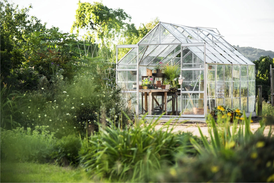 Le migliori piante da piantare ad aprile per un giardino splendido - Reencle Italia
