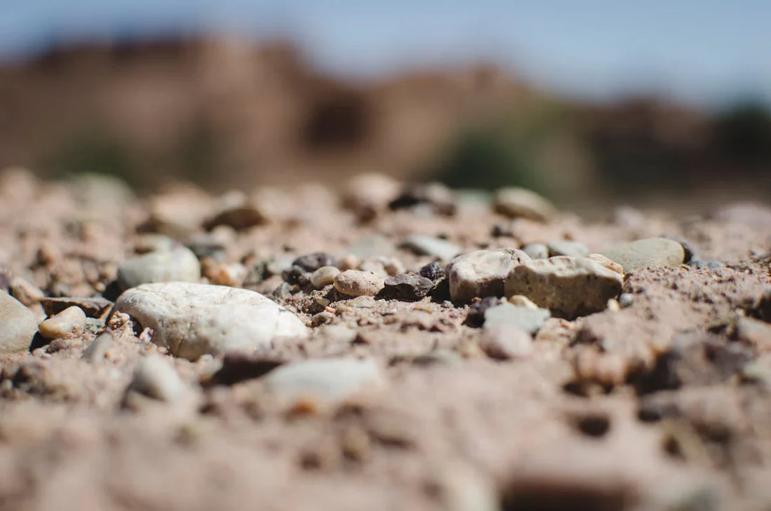 Perché Tutti Parlano di “Buon Terreno” e del Compostaggio Naturale?