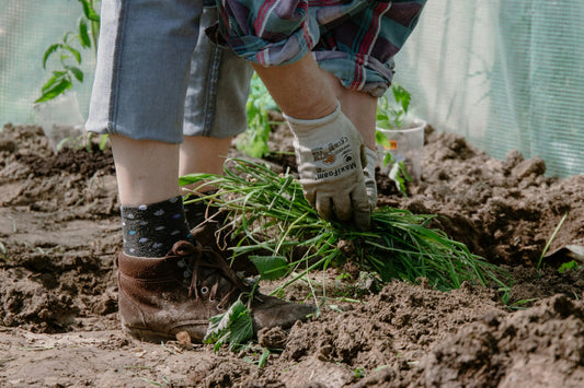 Stile di Vita a Zero Rifiuti, Contributi Attraverso il Compostaggio - Reencle Italia