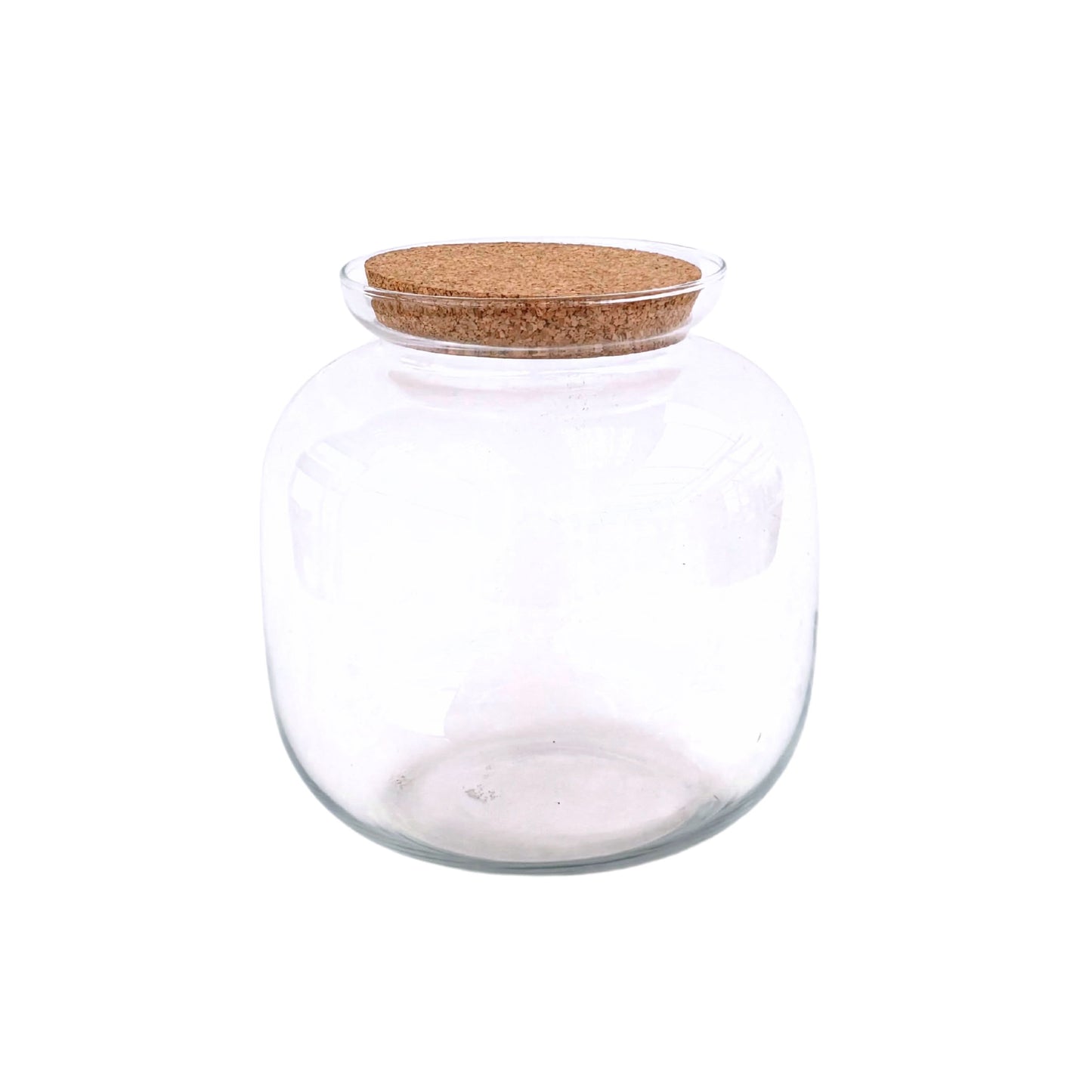 Contenitore Grande in Vetro Soffiato per Terrarium