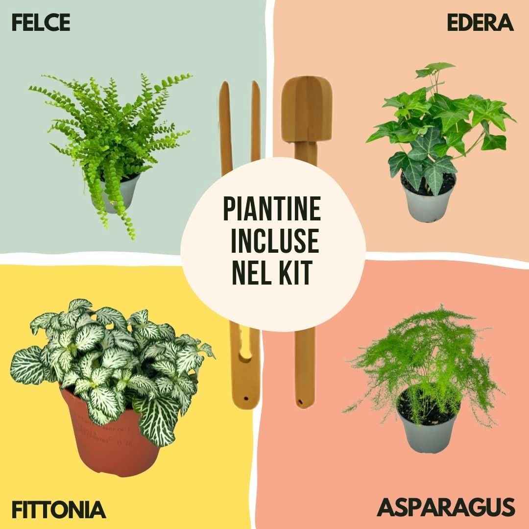 Kit Fai Da Te Terrarium Completo - Crea il Tuo Mini Giardino Elegante