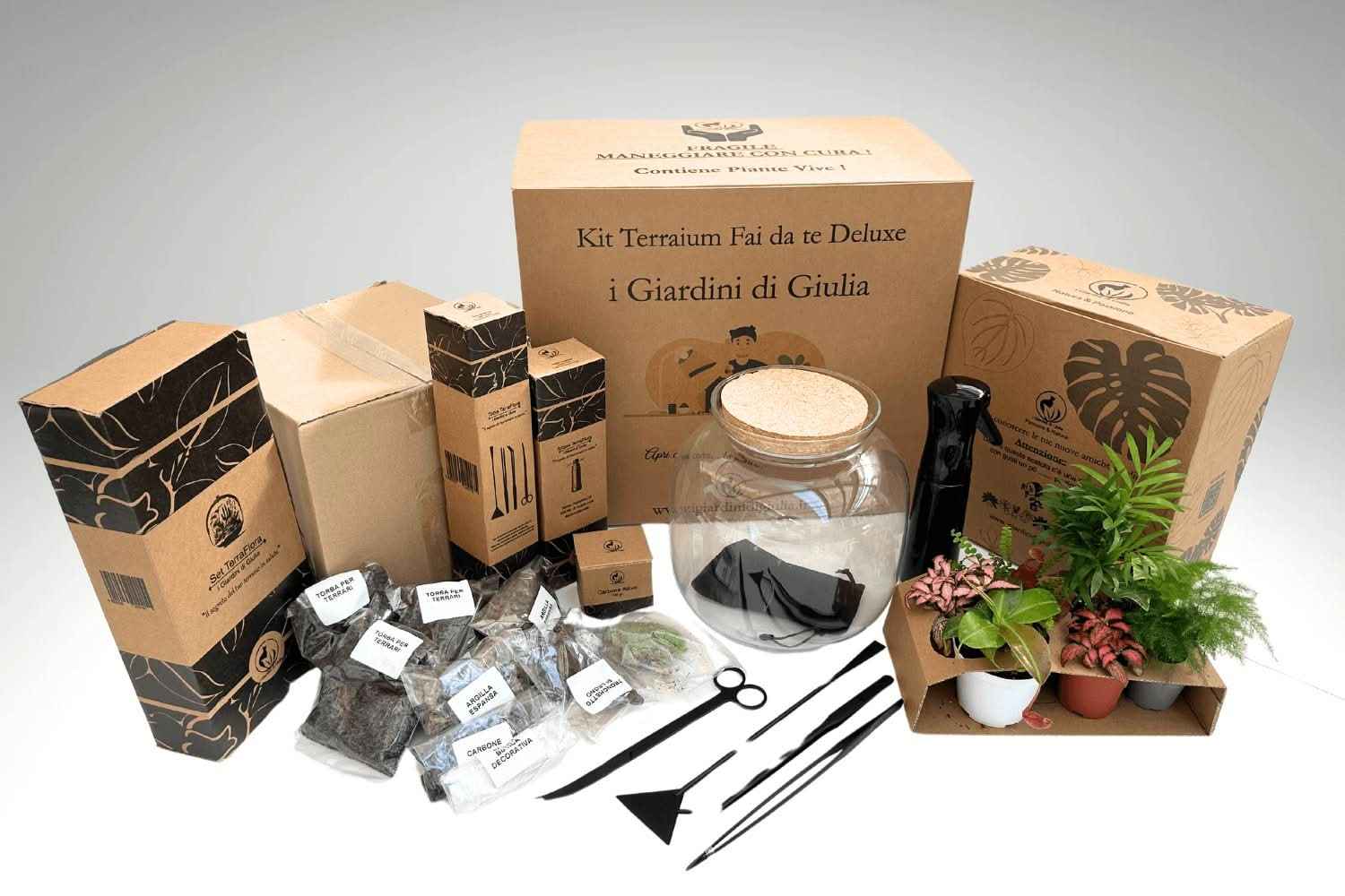 Kit Terrarium Fai Da Te Master | Il Super Kit per Creare un Giardino in Vetro Unico