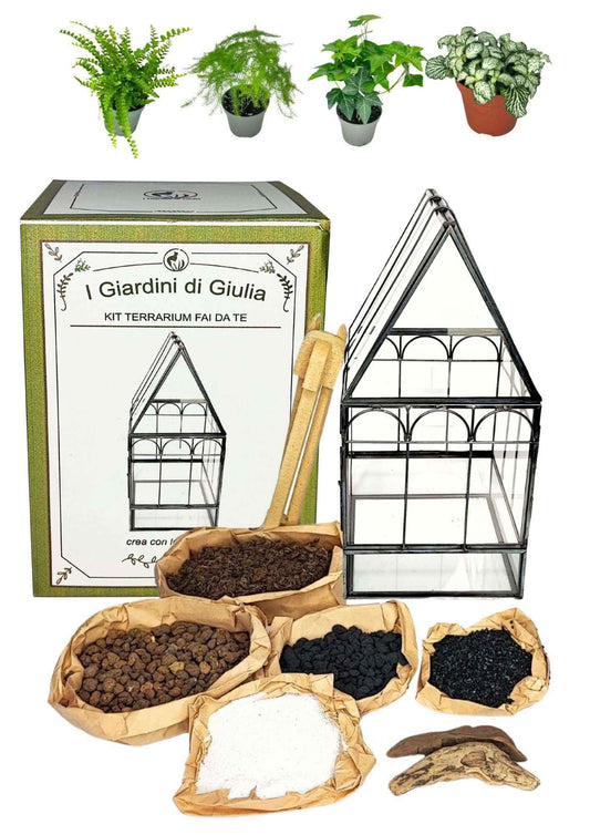 Kit terrarium geometrico fai da te con 4 piantine 2KITTERROM63