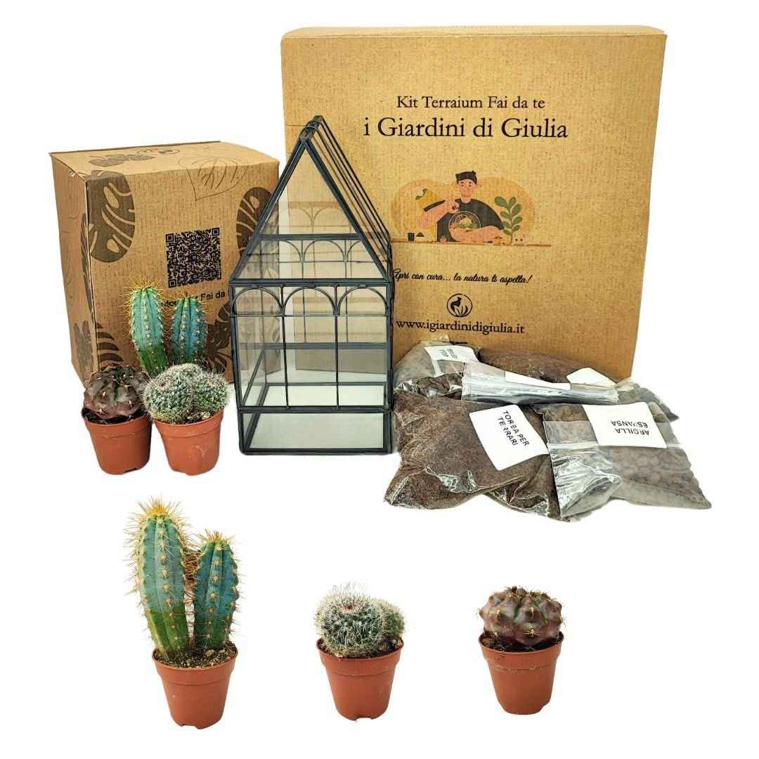 Kit Terrarium Geometrico Fai Da Te Giada Piante grasse
