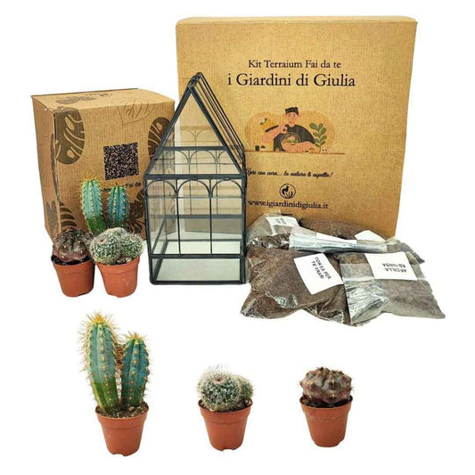 Kit Terrarium Geometrico Fai Da Te Giada Piante grasse