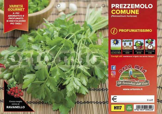 Prezzemolo Comune Profumato - 6 piante - Orto Mio